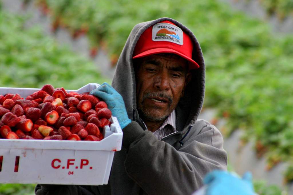 Granjero en México