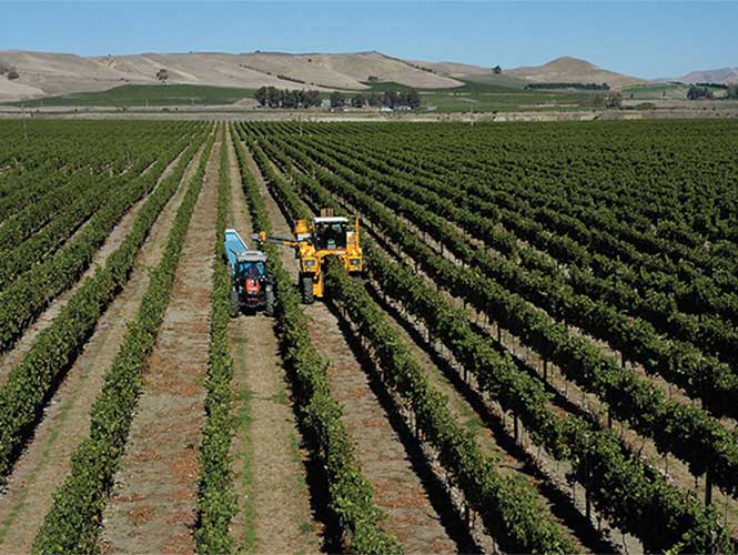 Tractor en México